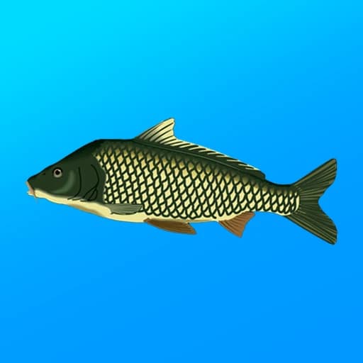 True Fishing. Simulator 1.19.0.904