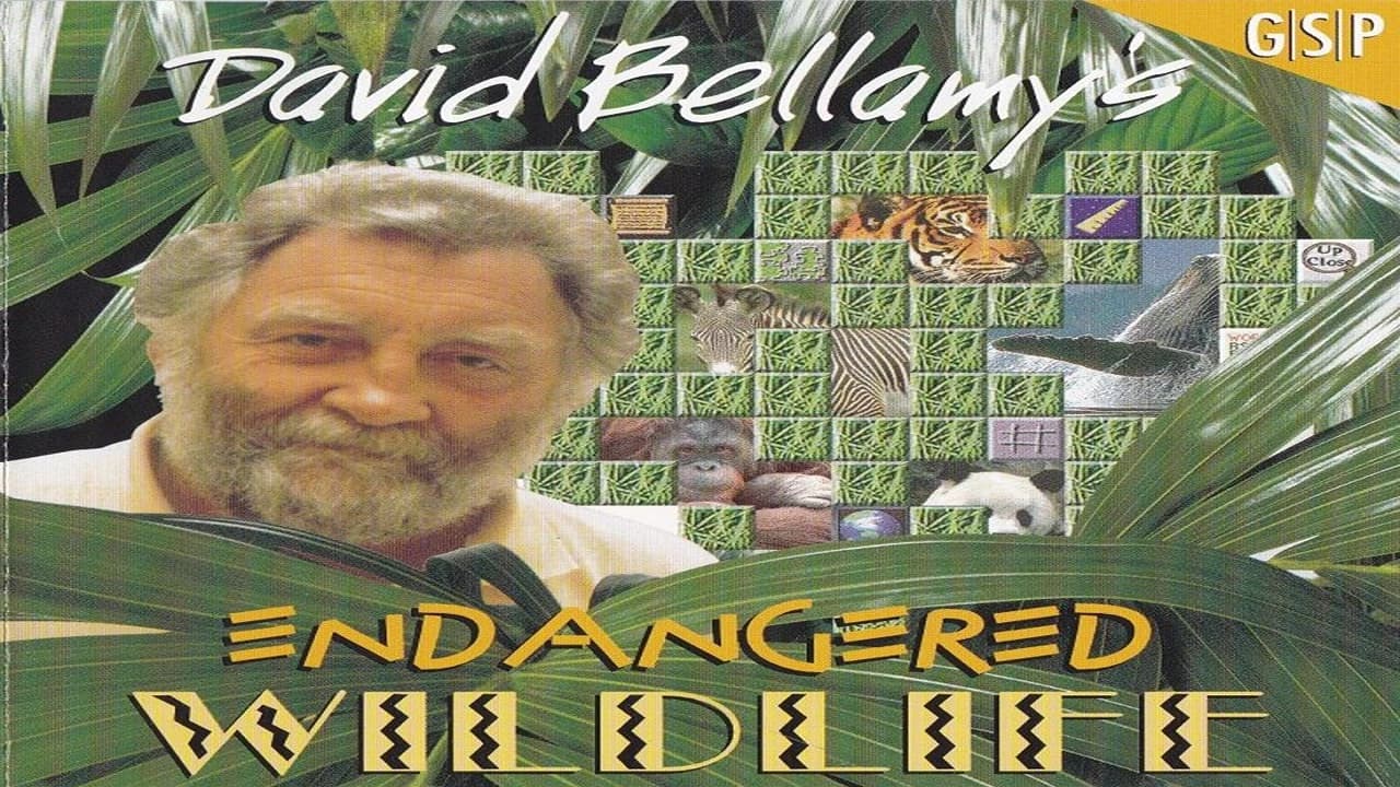 https://media.imgcdn.org/repo/2023/08/david-bellamys-endangered-wildlife/64c8b03189c15-david-bellamys-endangered-wildlife-FeatureImage.webp