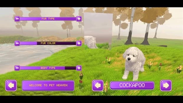 https://media.imgcdn.org/repo/2023/09/3d-pets-pet-heaven/64febc2ebfe30-3d-pets-pet-heaven-screenshot3.webp